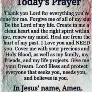 Meet your Posher, Brenda